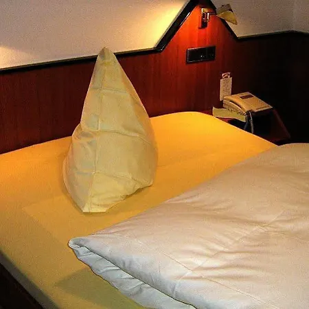 Hotel Garni Baeren 3*