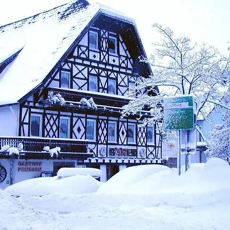 Hotel Garni Baeren 3*