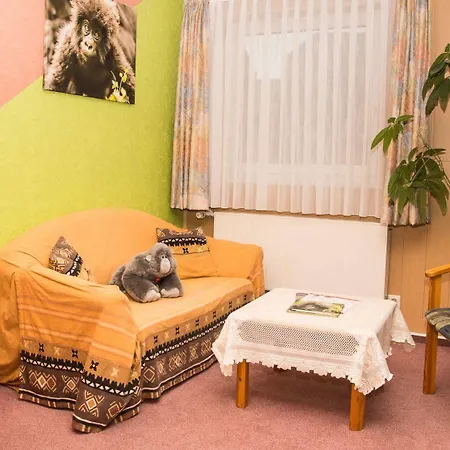 Garni Baren Hotel 3*